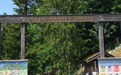 Alpenwildpark